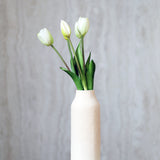 Tulipáncsokor - Fehér