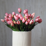 Tulipáncsokor - Halványrózsaszín