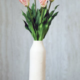 Vad tulipán virág - Rózsaszín
