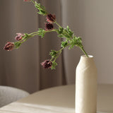 Hamvas bogáncs - Bordó