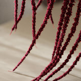 Logó amarantusz - Bordó