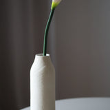 Kála -  Rózsaszín