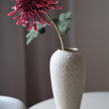 Krizantém King - Rosé