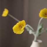 Poppy - White