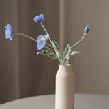 Pipacs - Világoskék