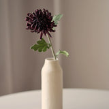 Krizantém - Sötétlila