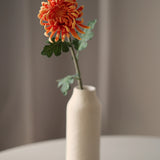 Krizantém - Narancs