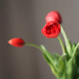 Tulipáncsokor - Piros