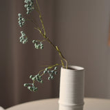 Green poppy seed pod