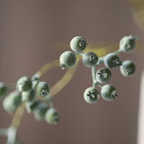 Green poppy seed pod