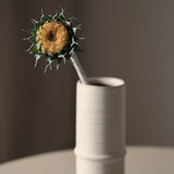 Őszi Napraforgó - Sárga