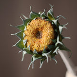 Őszi Napraforgó - Sárga