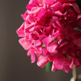 Hortenzia - Pink