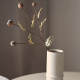 Green poppy seed pod