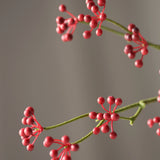 Bogyó Ág - Piros