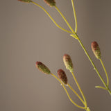 Leaf amaranth fiber - Green