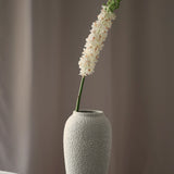 Foxtail - Green