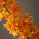 Foxtail - Green