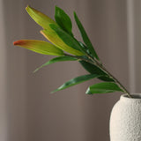 Leaf amaranth fiber - Green