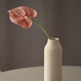 Flamingó - Rózsaszín