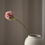 Cirmos Tokvirág - pink