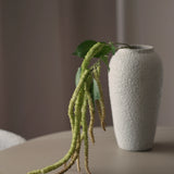 Leaf amaranth fiber - Green