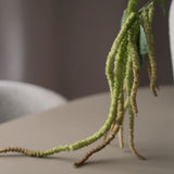 Leaf amaranth fiber - Green