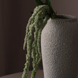 Leaf amaranth fiber - Green