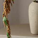 Logó amarantusz - Barna