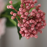 Bogyóág - Rózsaszín