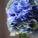 Hortenzia Hamvas - kék