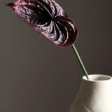 Flamingó - Burgundi