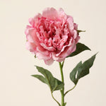 FLORM Bazsarózsa Prémium Pink művirág közeli