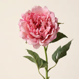 FLORM Bazsarózsa Prémium Pink művirág közeli