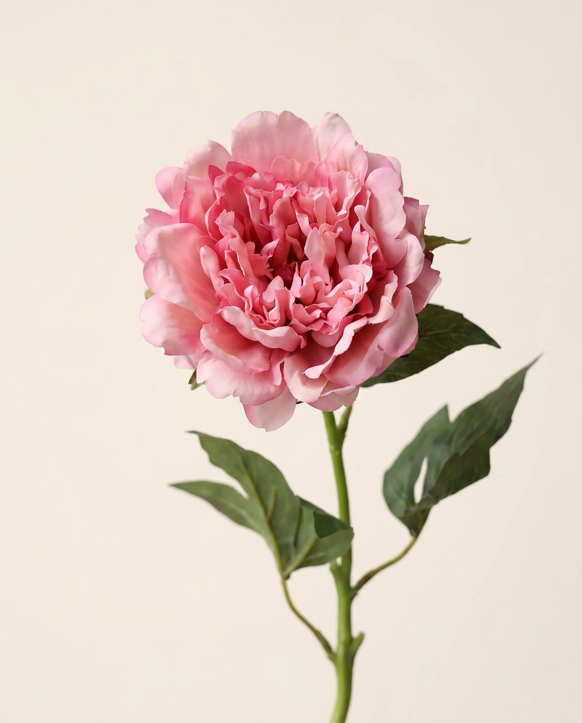 FLORM Bazsarózsa Prémium Pink művirág közeli