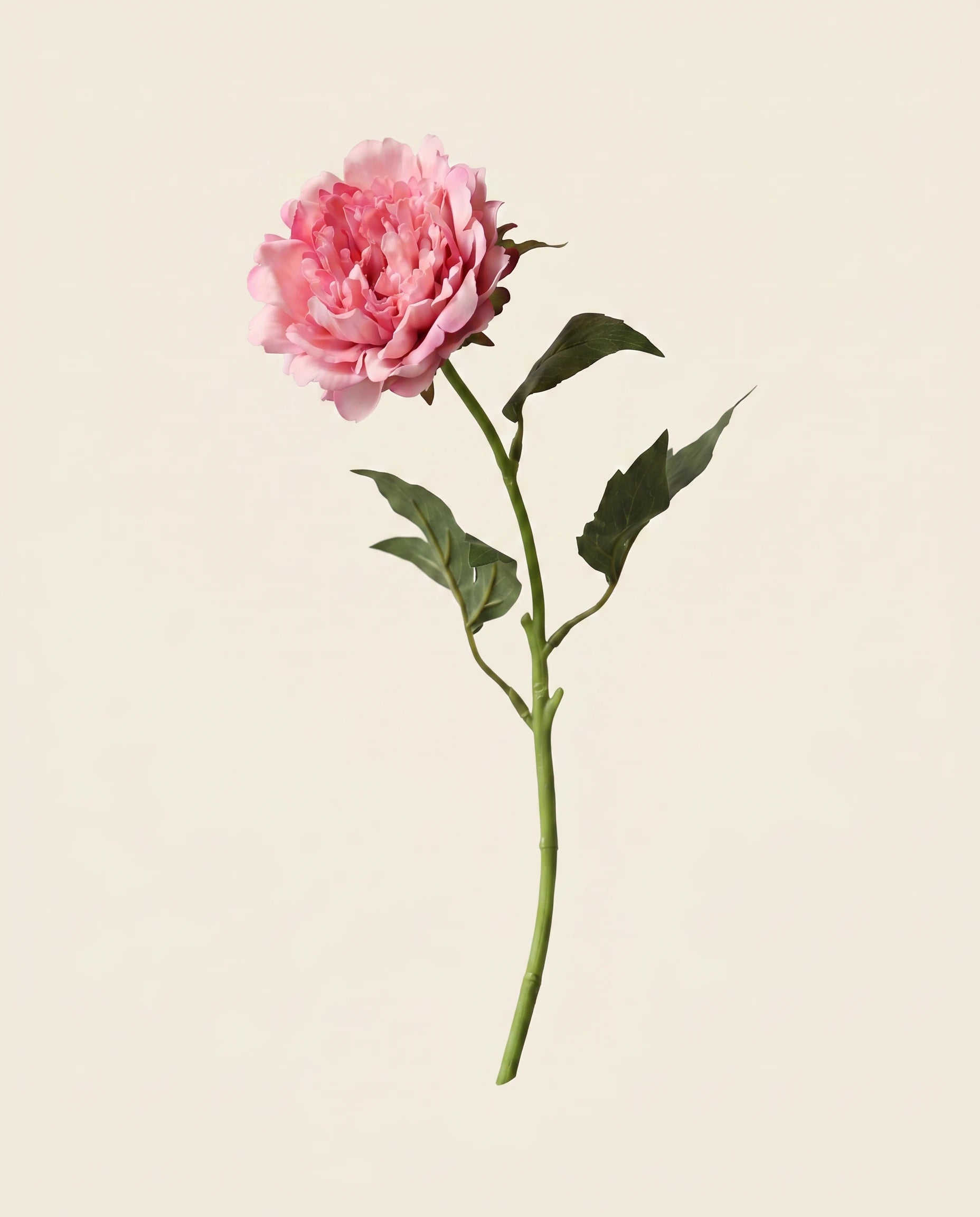 FLORM Bazsarózsa Prémium Pink művirág packshot