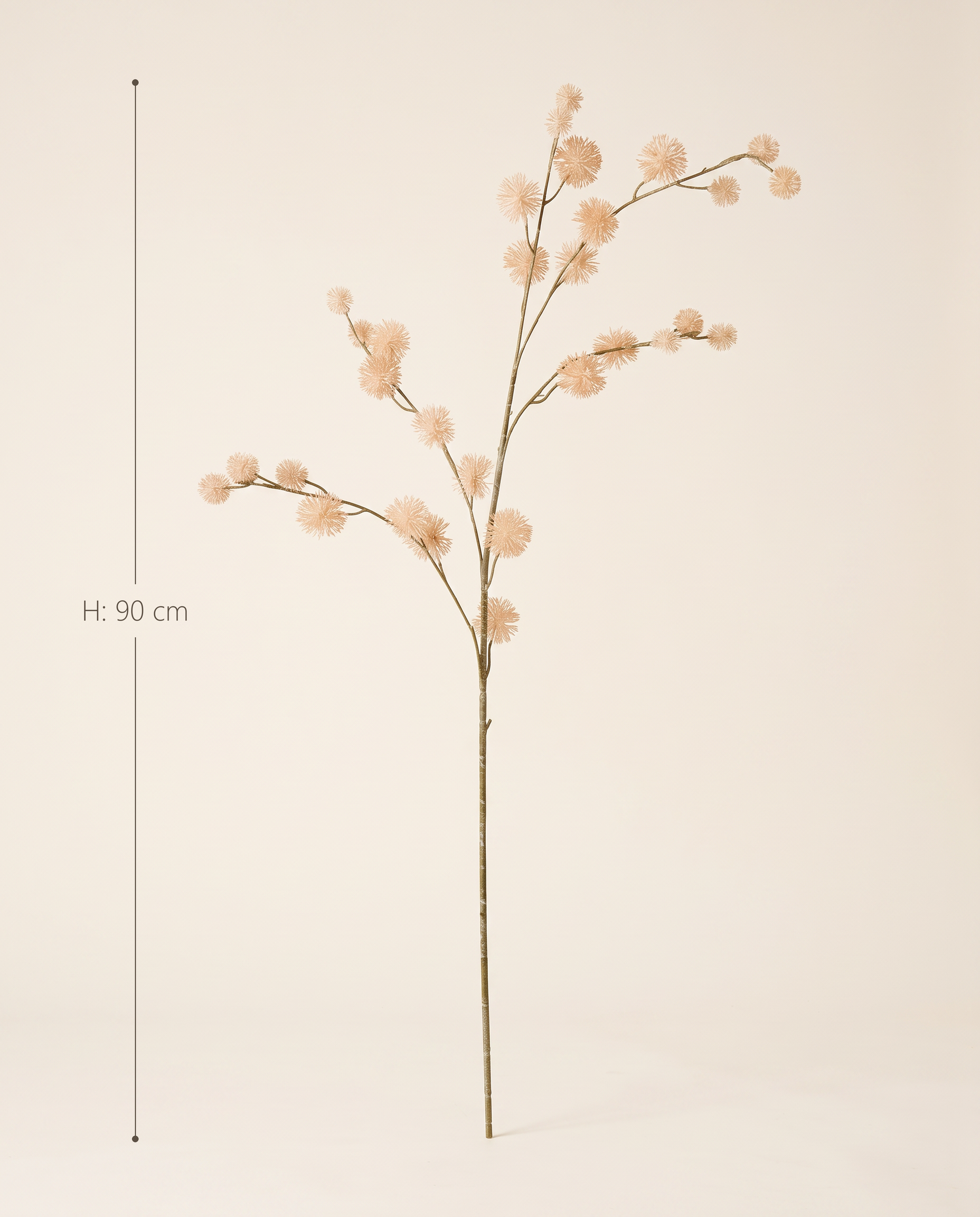 FLORM bogáncs ág nude dekorág méretei – 90 cm magas