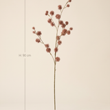 FLORM bogáncs ág sötétbarna dekorág méretei – 90 cm magas