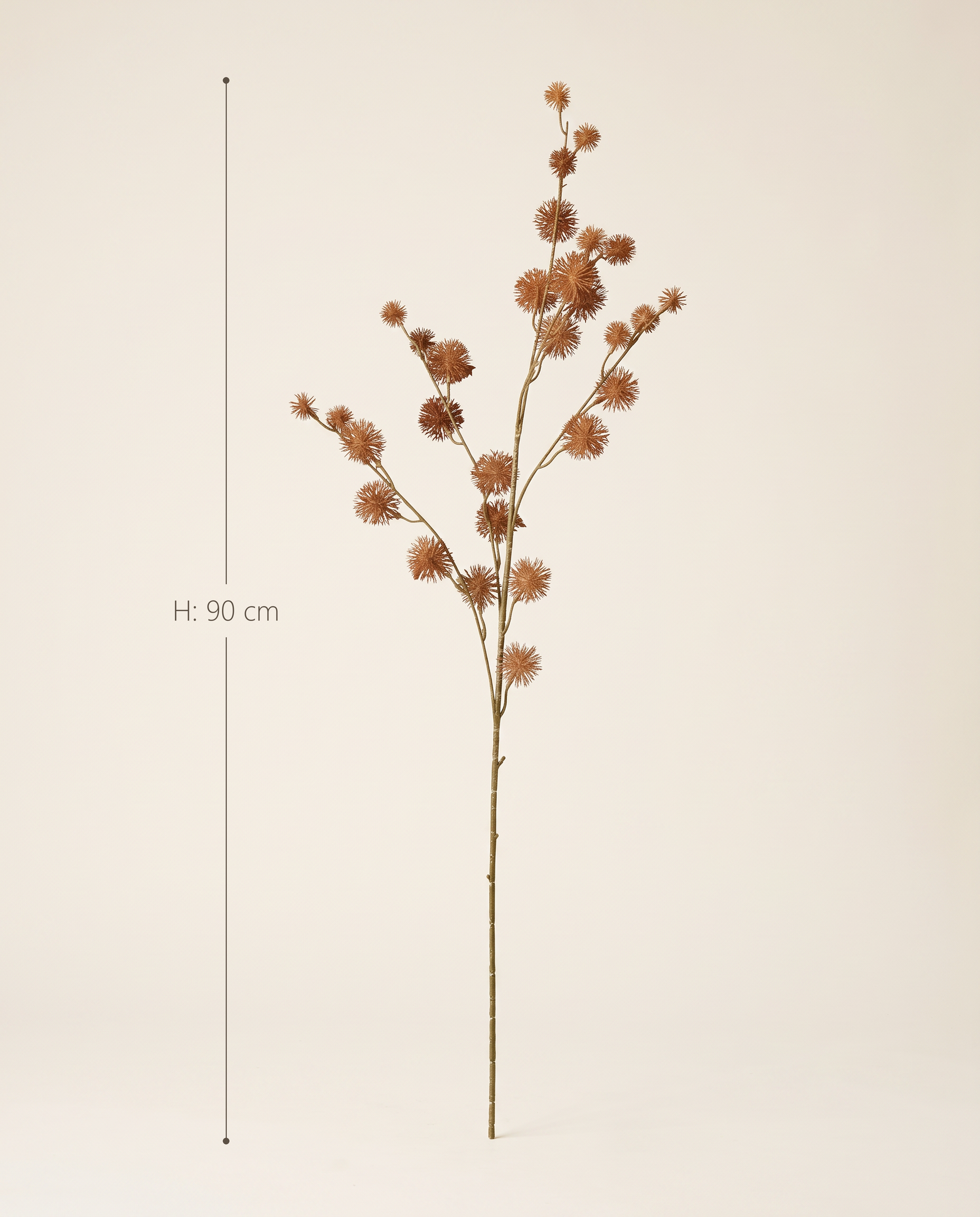 FLORM bogáncs ág világosbarna dekorág méretei – 90 cm magas
