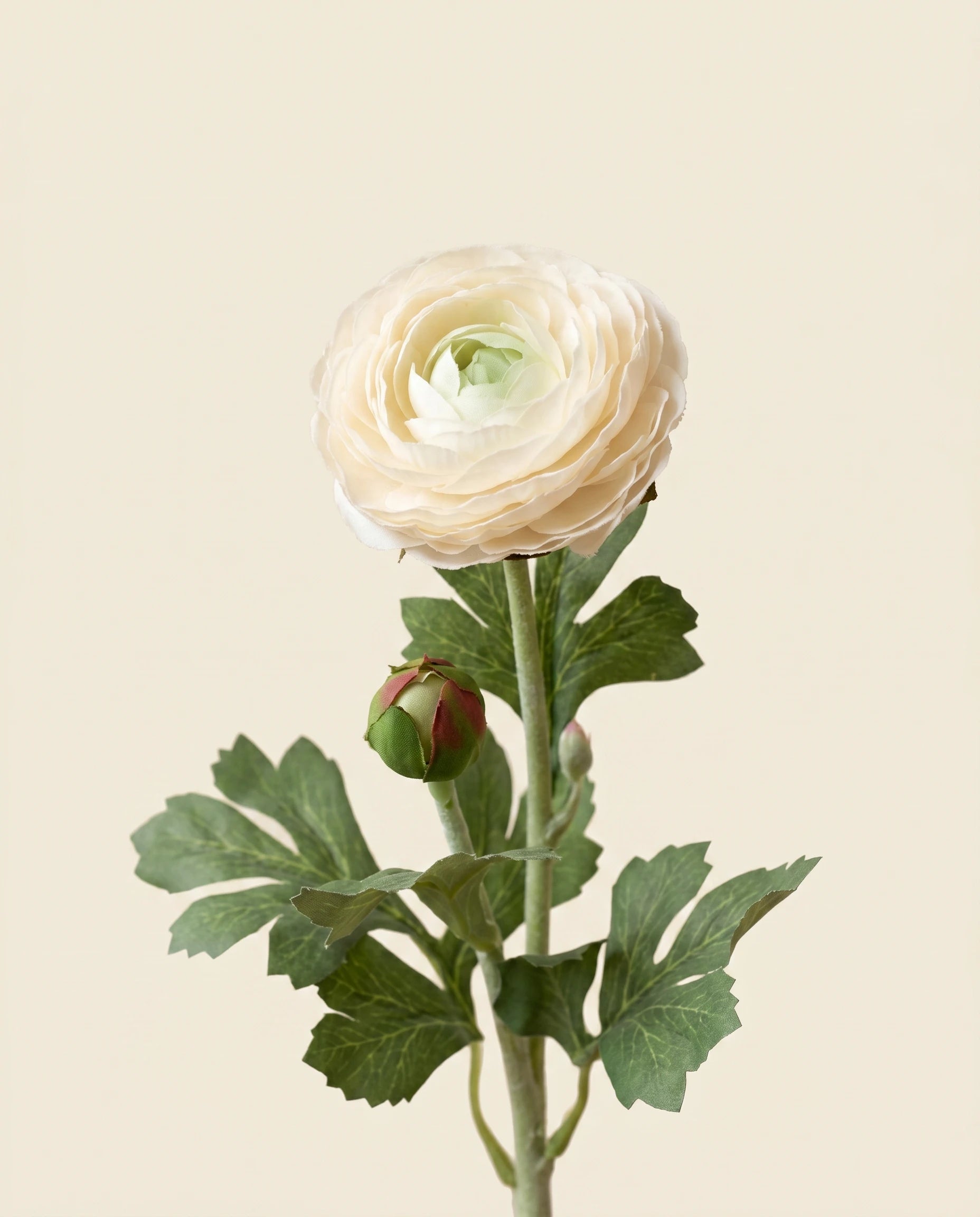 FLORM Boglárka Fehér művirág közeli