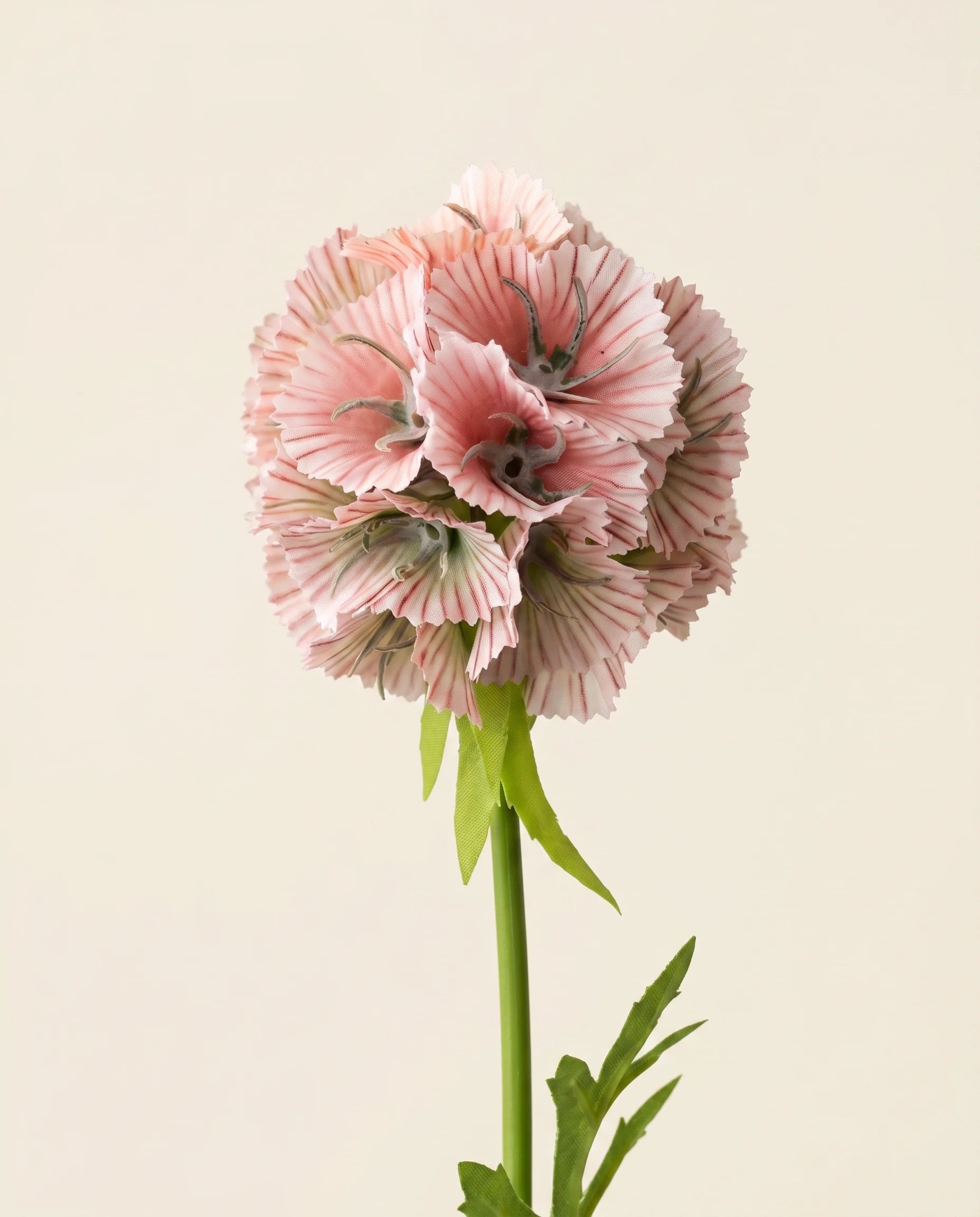 FLORM Cirmos Tokvirág pink művirág – közeli