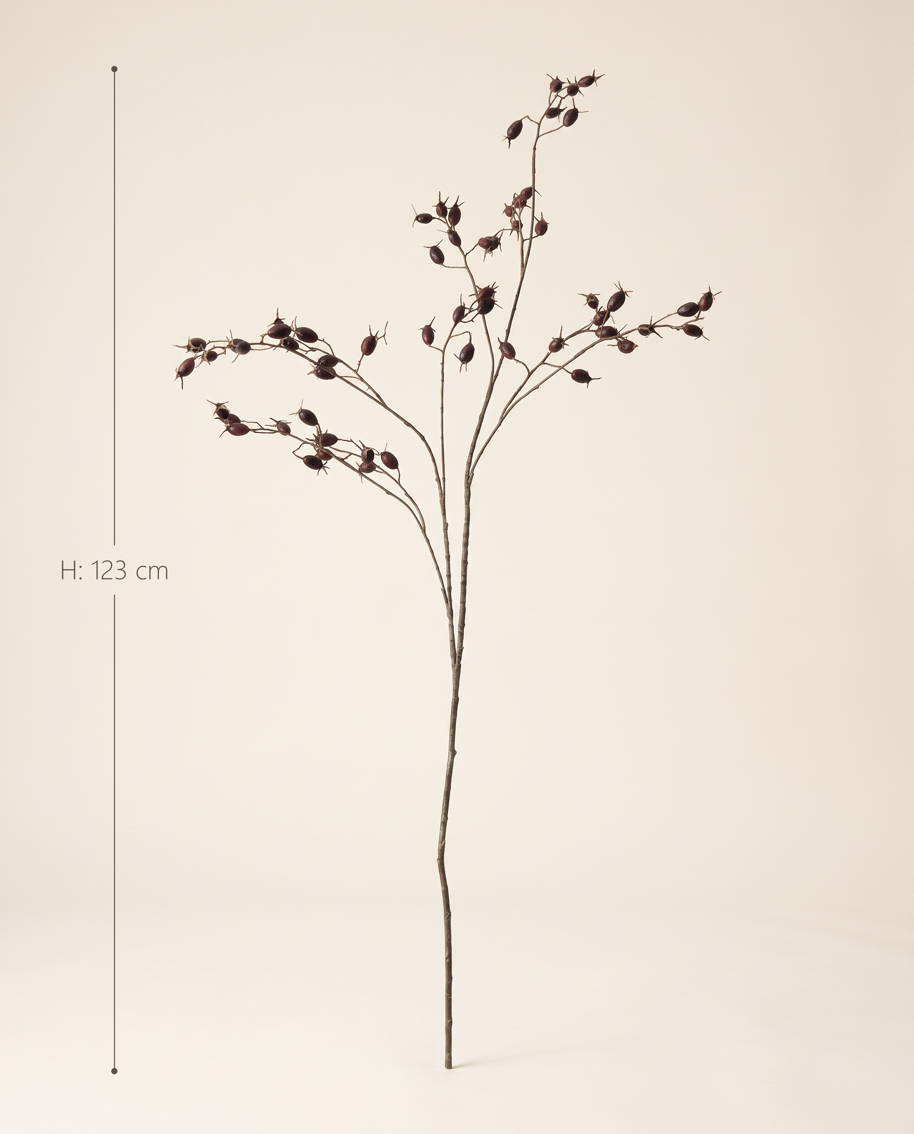 FLORM csipkebogyó ág bordó dekorág méretei – 123 cm magas