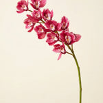 FLORM Csónak Orchidea Prémium Rózsaszín művirág – packshot