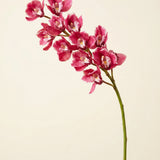 FLORM Csónak Orchidea Prémium Rózsaszín művirág – packshot