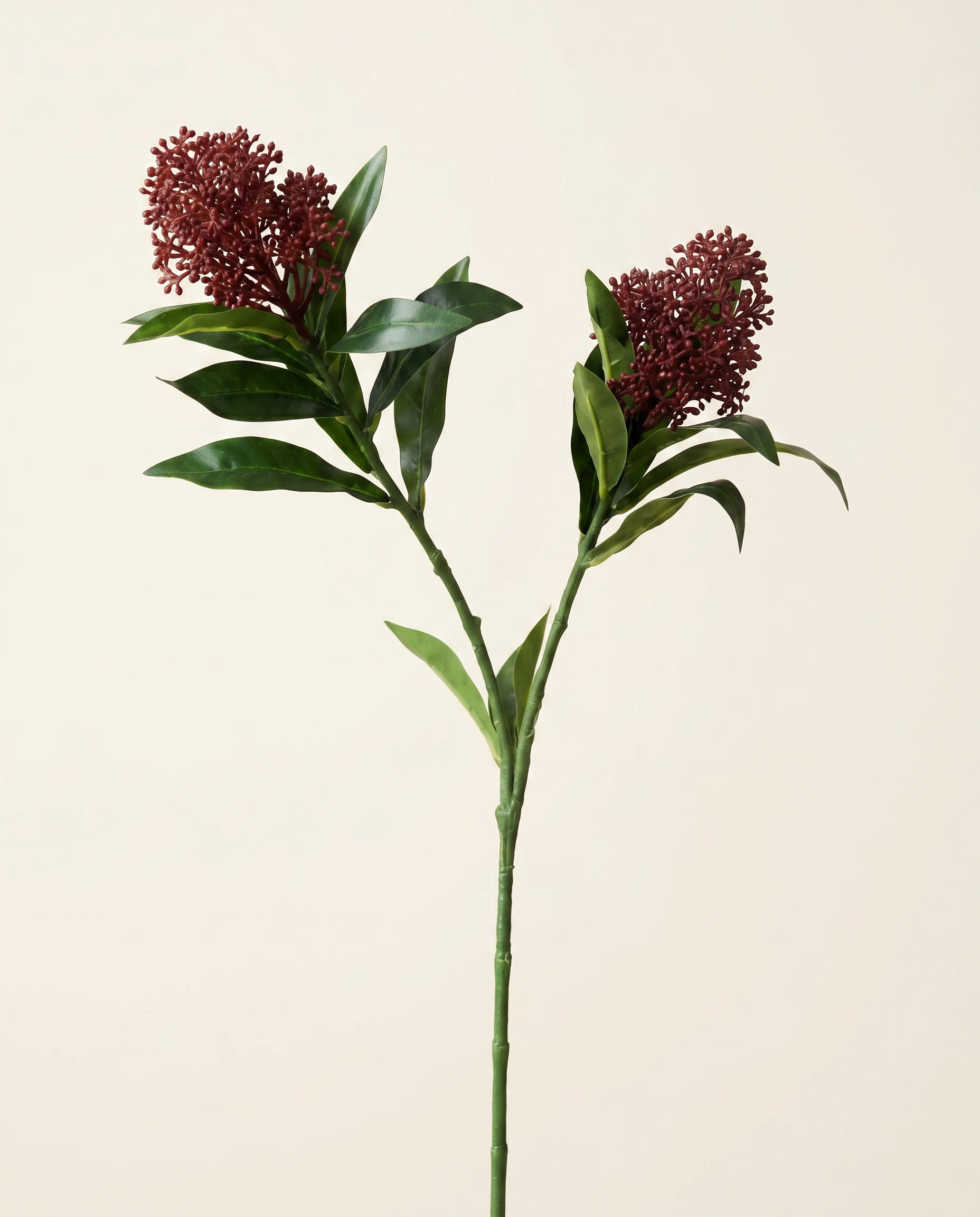 FLORM Dérbabér Bordó dekorág – packshot