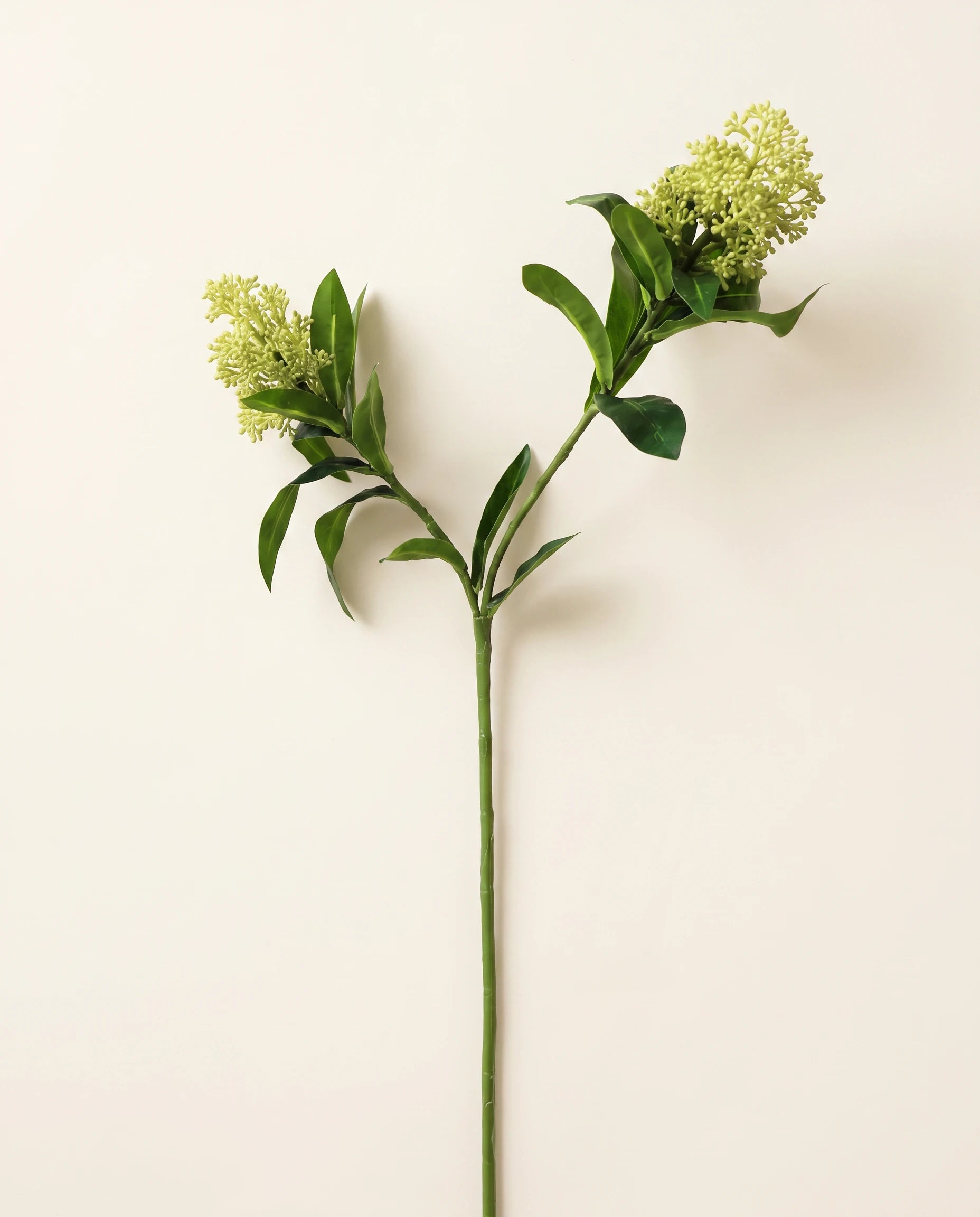 FLORM Dérbabér Zöld dekorág – packshot