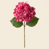 Hortenzia - Pink