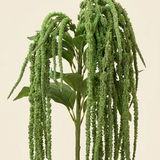Leaf amaranth fiber - Green