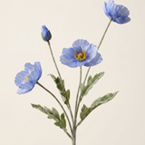 Poppy - Blue