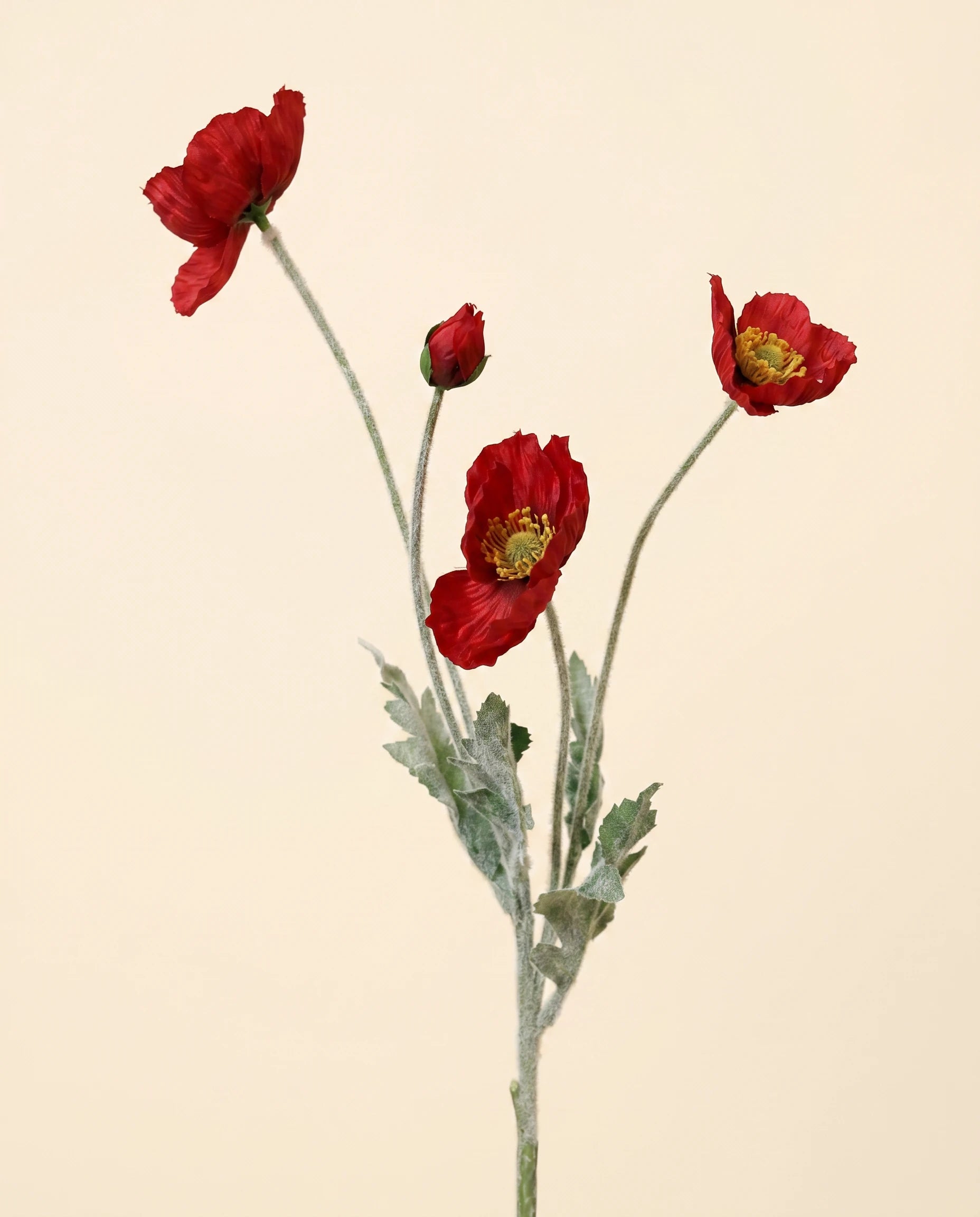 FLORM Pipacs Piros művirág – közeli
